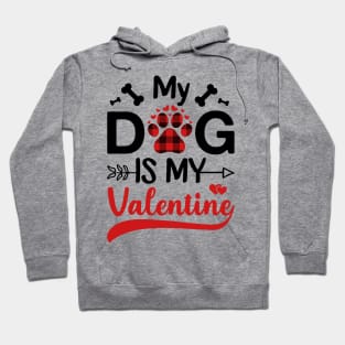 My Dog Is My Valentine Gift for dog lover Hoodie